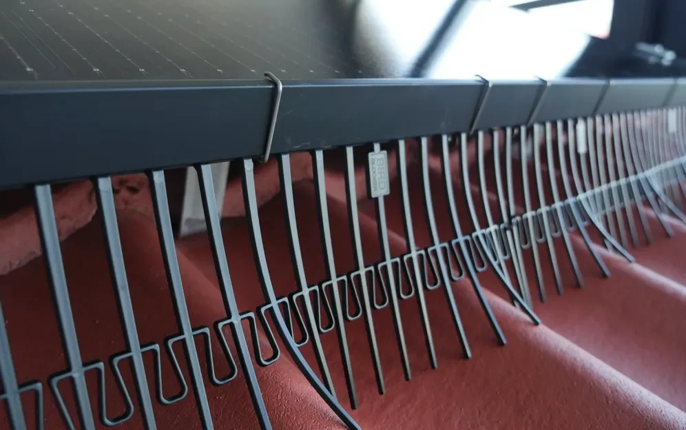 Birdblocker | Box-Clip – Bild 2